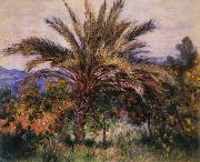 Claude Monet A Palm Tree at Bordighera Spain oil painting artist
